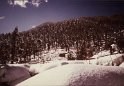 Winter 1984, between Balsari and Nasogi